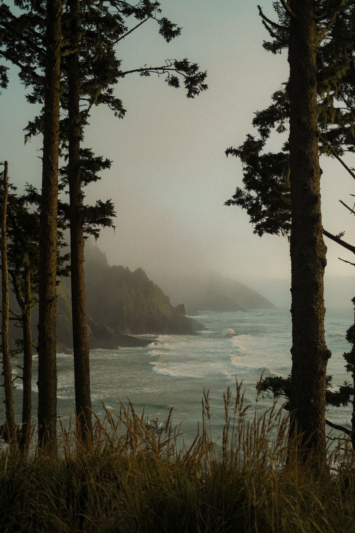 pacific northwest
